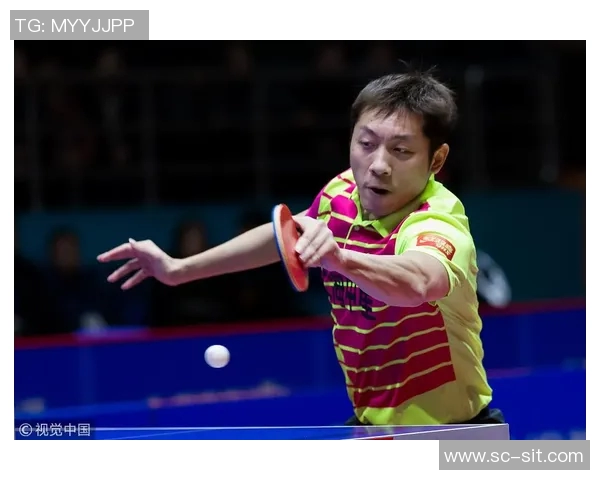 南京羽毛球队以85分稳居冠军赛积分榜首位展现强劲实力