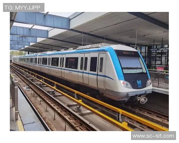 武汉排球队的实力分析与未来发展展望探讨