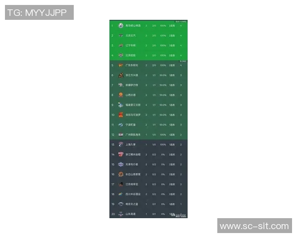 深圳篮球队在选拔赛中以63分稳居积分榜首位